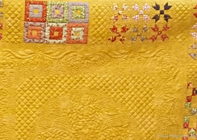 December 2018 Show and Share │ KSLongarmQuilters